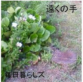 image-5fd00.jpg