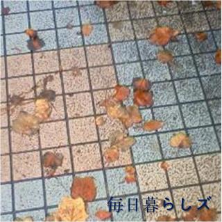image-a02f6.jpg