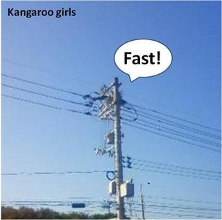 image-b3e65-thumbnail2.jpg