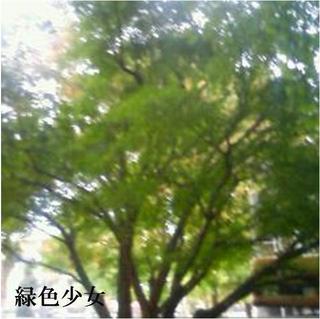 image-c85b3.jpg