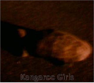 kangaroo20garls-thumbnail2.png